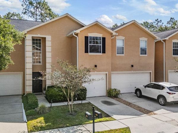 16309 WORCHESTER PALMS COURT , TAMPA, FL 33647