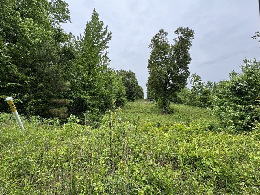 Property Image 67