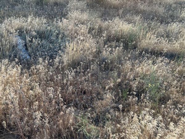 0 Verbina, Adelanto, CA 92301