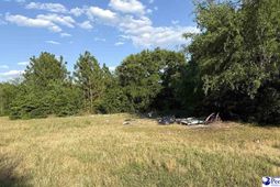 1929 Garden Valley Dr photo 4