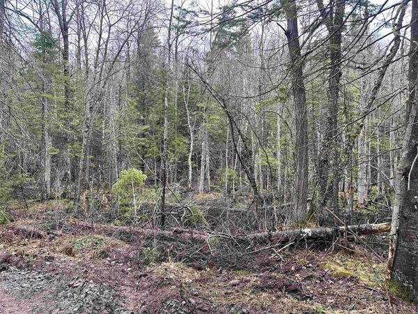 TBD Forestville / Co Rd HT Road, Marquette Twp, MI 49855