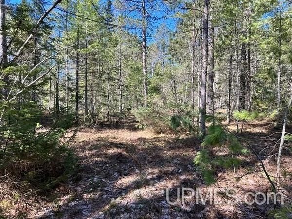 Unit 61 Little Rice Lake Road, Torch Lake Twp, MI 49945