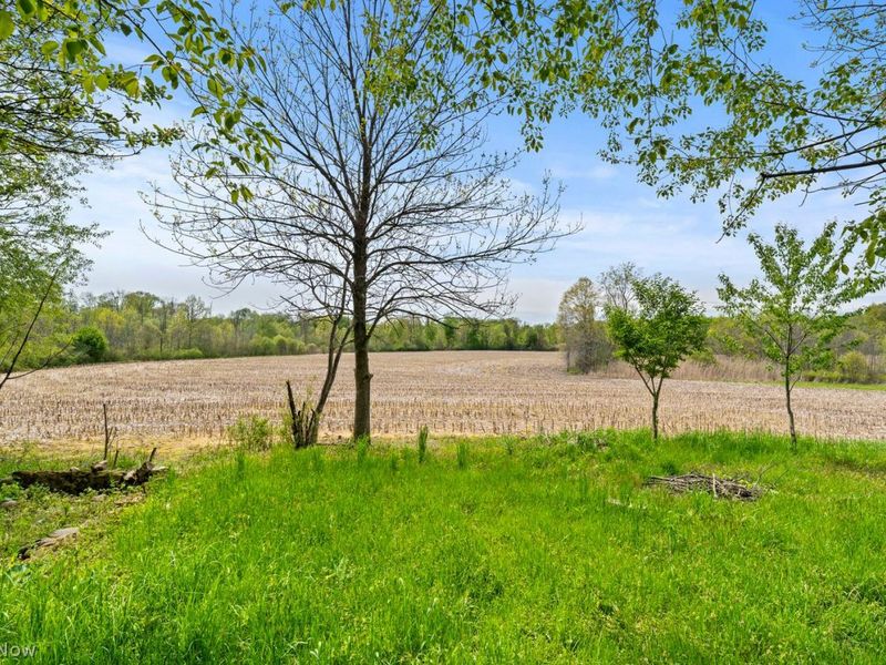 7005 Infirmary Road , Ravenna, OH 44266 Photo 16