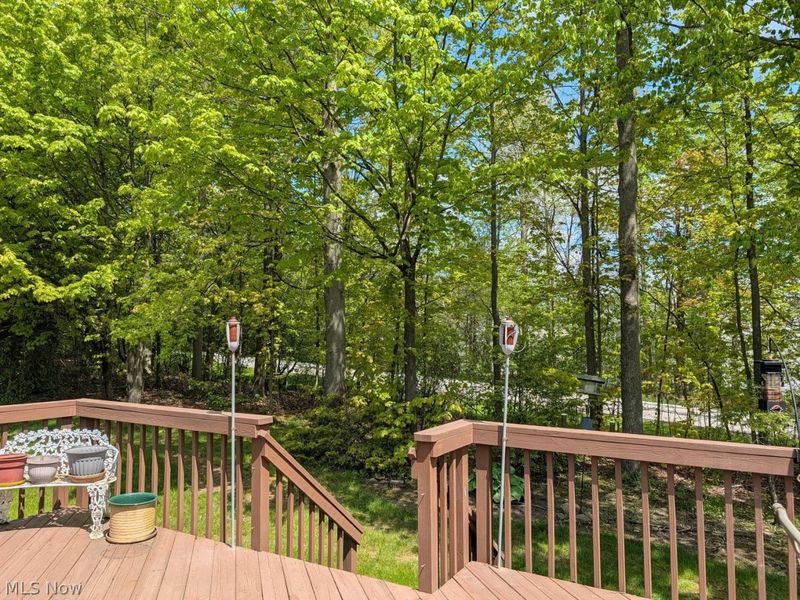 721 Sagewood Lane , Chagrin Falls, OH 44023 Photo 18