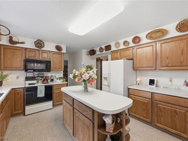 359 Williamsburg Drive , Avon Lake, OH 44012 Photo 10