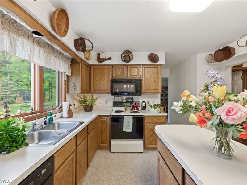 359 Williamsburg Drive , Avon Lake, OH 44012 Photo 11
