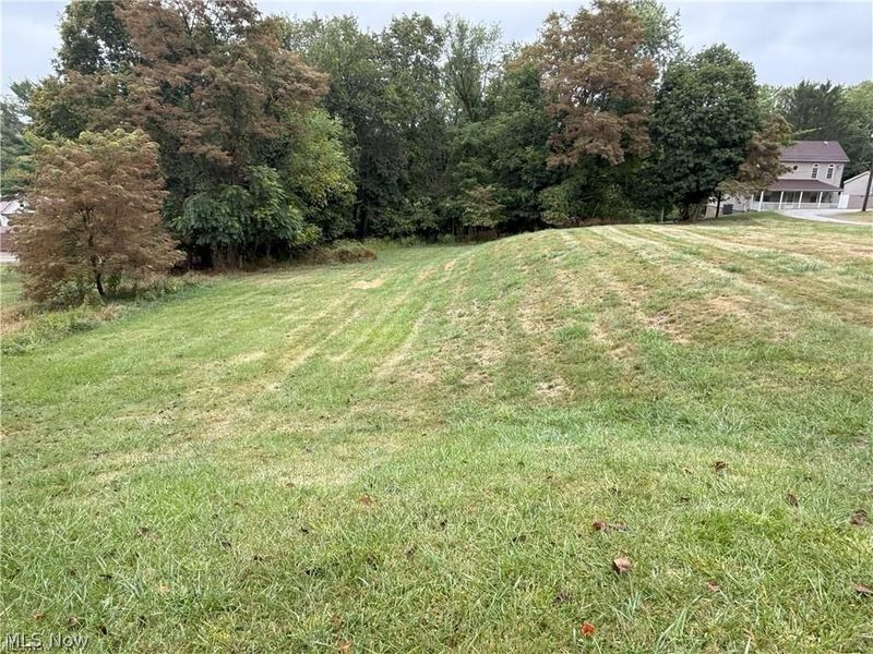 Mount Pleasant, OH 43952 Photo 3