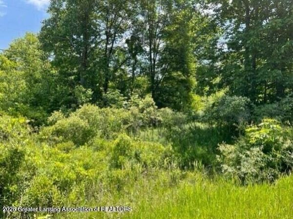 0 Woodbury Road, Laingsburg, MI 48848