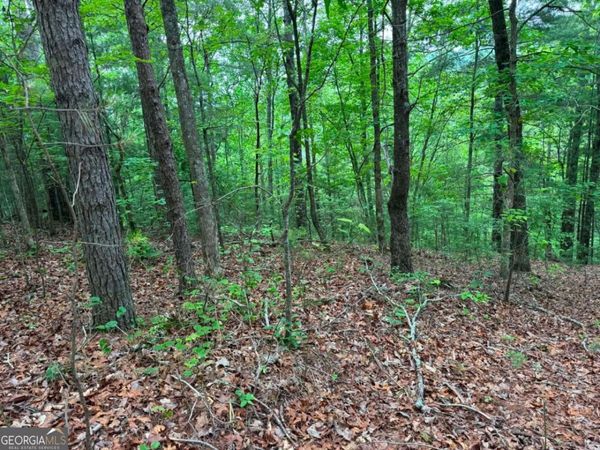 1674A Hunter Drive, Ranger, GA 30734