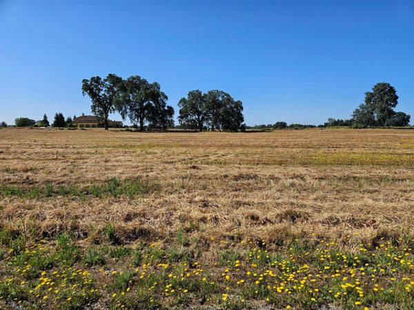 20654 Disch Rd, Lockeford, CA 95237