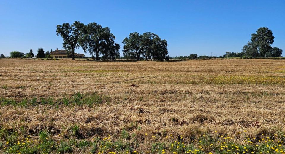 20654 Disch Rd, Lockeford, CA 95237 Photo