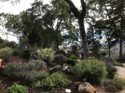 12600 Jayhawk Ct, Penn Valley, CA 95946 Photo