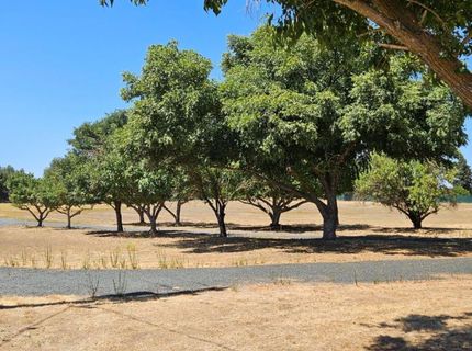 20822 Disch Rd, Lockeford, CA 95237 Photo