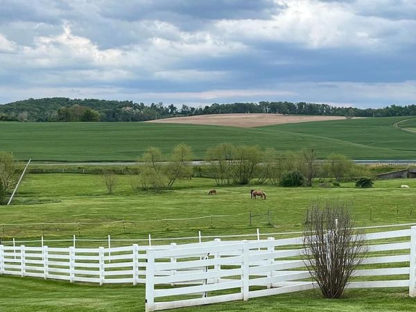 969 BACHMANS VALLEY ROAD, WESTMINSTER, MD 21158