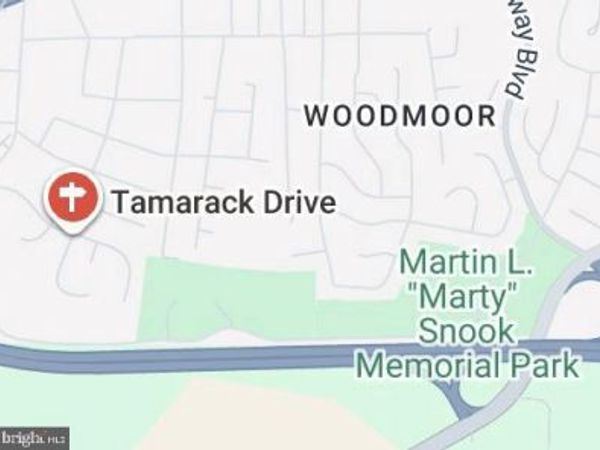 17308 TAMARACK DRIVE, WILLIAMSPORT, MD 21795