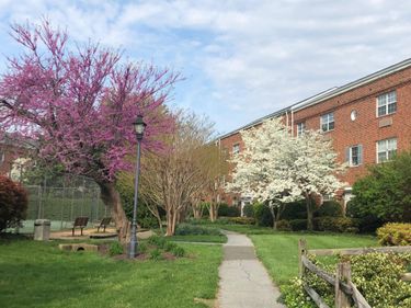 1630 W ABINGDON DRIVE , Unit 201, ALEXANDRIA, VA 22314