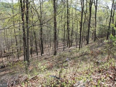 224 ESTATE DRIVE , RUTHER GLEN, VA 22546