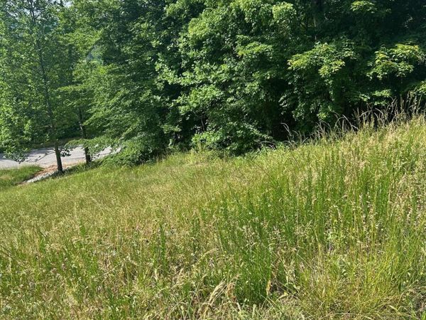 lot 214 Suncrest Cove, LaFollette, TN 37766
