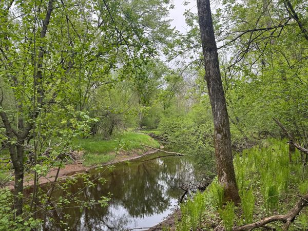 13xxx Hwy 23 , Milaca, MN 56353