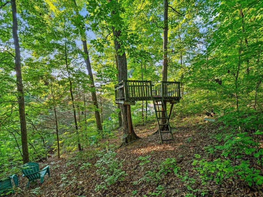 Property Image 81