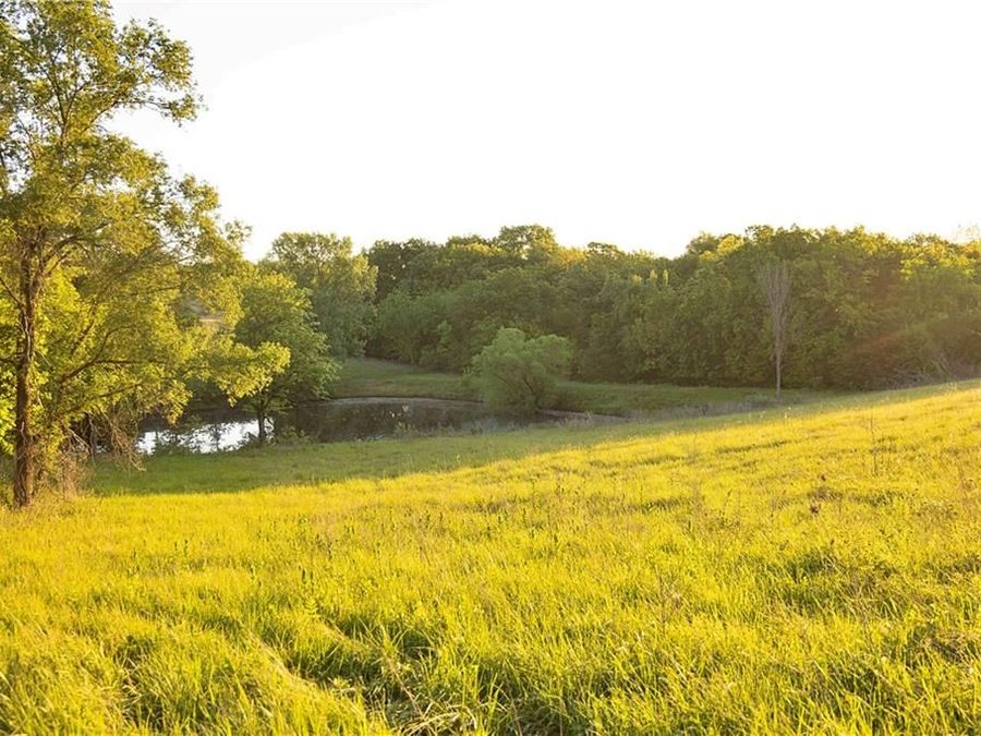 Property Image 37
