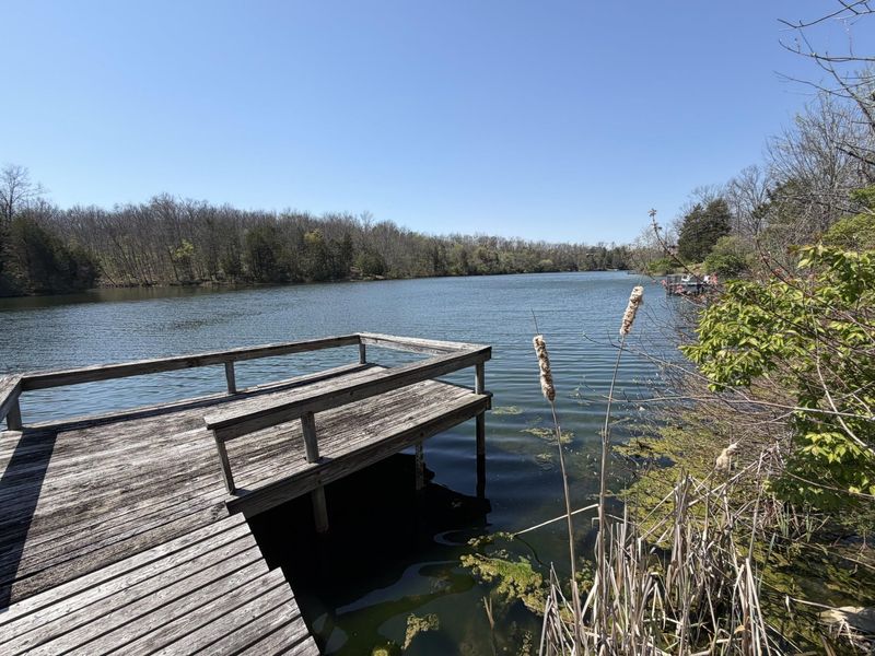 635 Corinth Shore Drive, Corinth, KY 41010 Photo 13