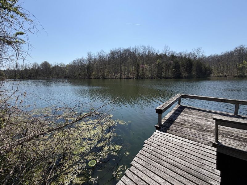 635 Corinth Shore Drive, Corinth, KY 41010 Photo 14
