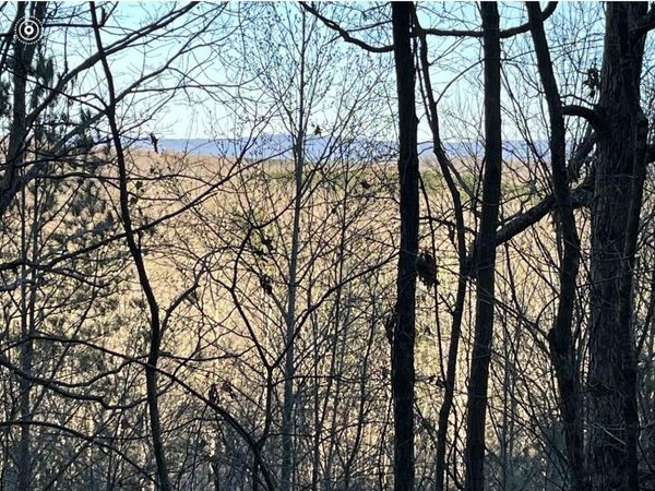 0 County Road 956 , Calhoun, TN 37309