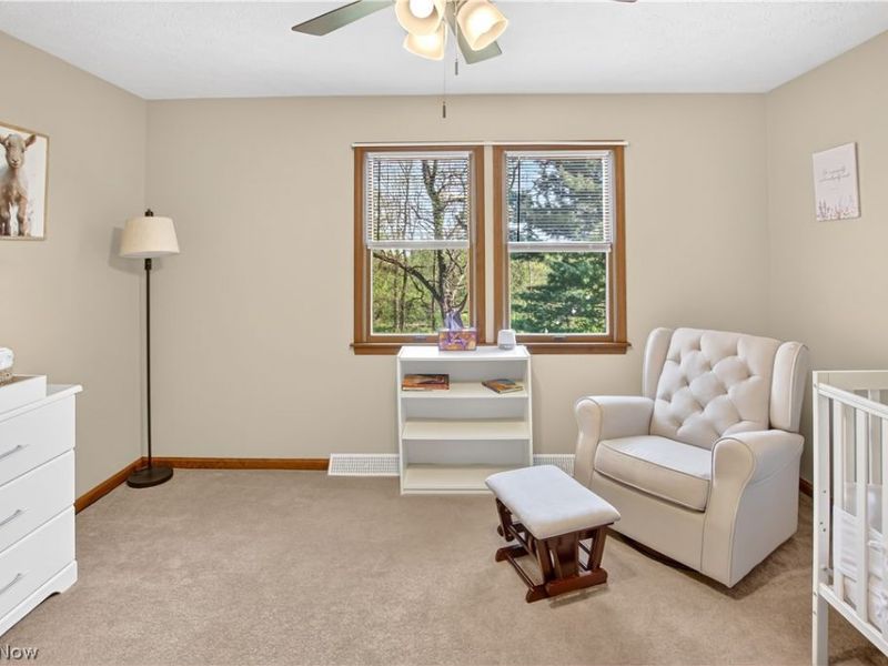 2191 Babcock Road , Hinckley, OH 44233 Photo 22