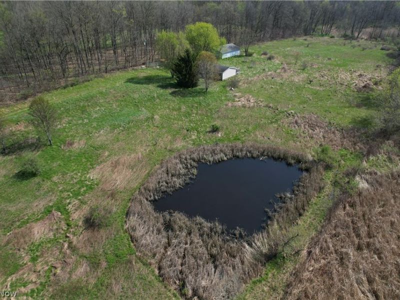 9200 Horn Road , Windham, OH 44288 Photo 4