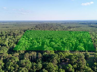 000 WHEELER ROAD, Marion, LA 71260