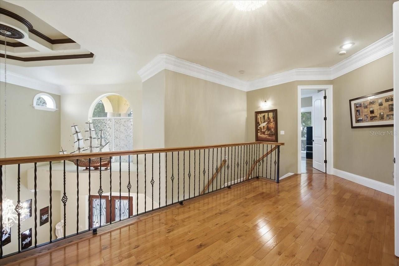 12006 Waterside Court, Tampa, FL 33612 Photo