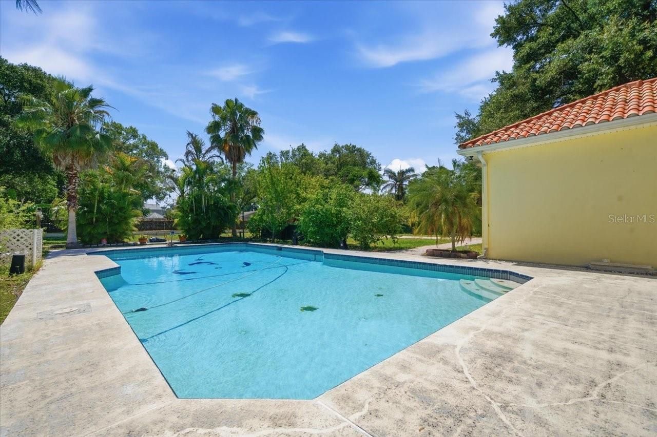 12006 Waterside Court, Tampa, FL 33612 Photo