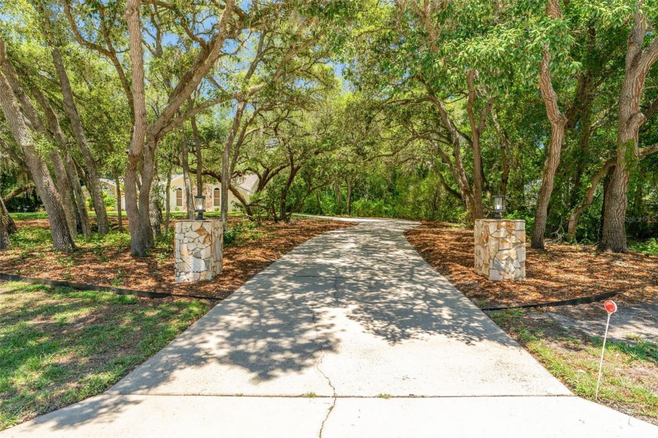 315 W Britain Street , Hernando, FL 34442 Photo