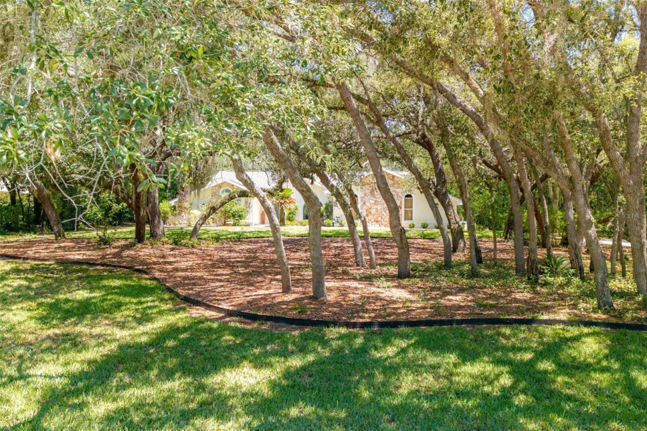 315 W Britain Street , Hernando, FL 34442 Photo