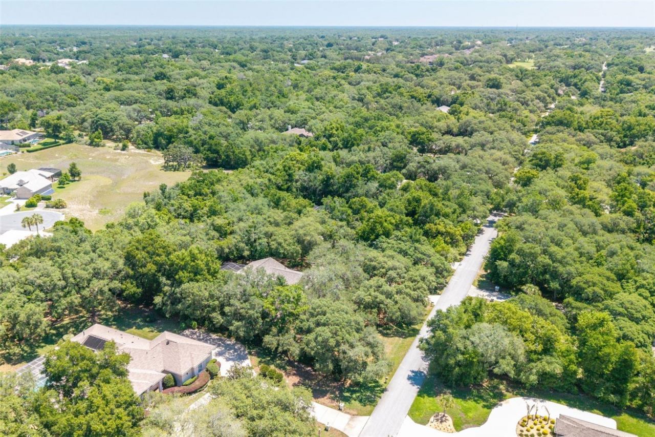 315 W Britain Street , Hernando, FL 34442 Photo