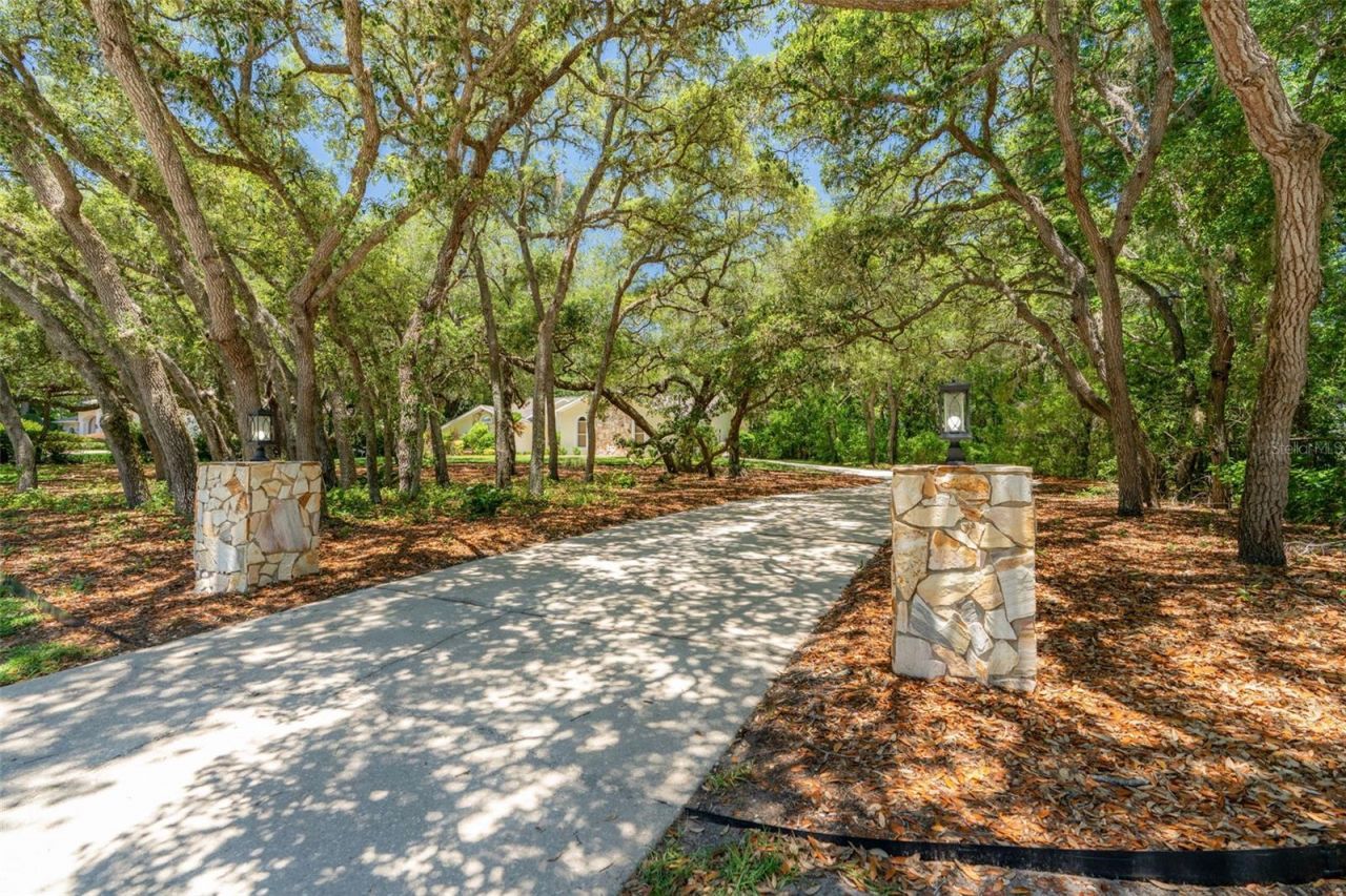 315 W Britain Street , Hernando, FL 34442 Photo