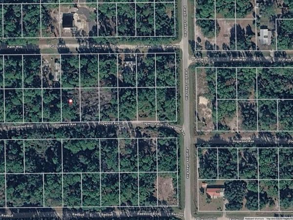 222 DOGWOOD AVENUE , GEORGETOWN, FL 32139