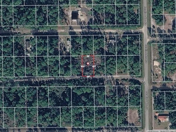 224 DOGWOOD AVENUE , GEORGETOWN, FL 32139