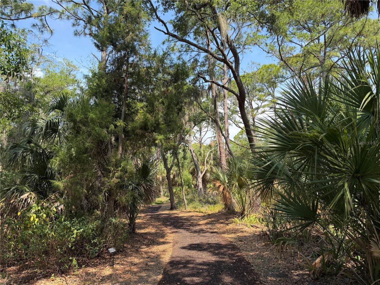 Lot 8 & 9 Nutmeg Avenue, Sarasota, FL 34231 Photo