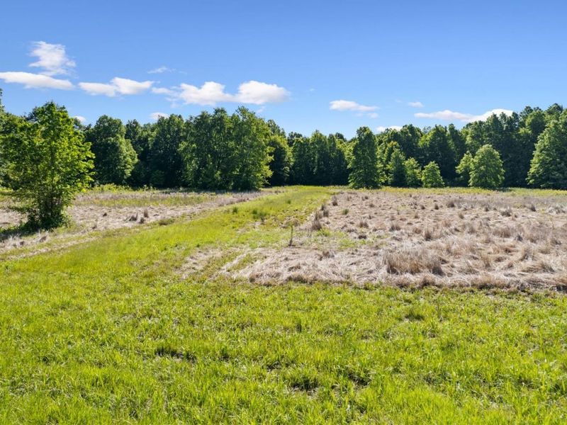 3270 St. Rt. 132, Pierce Twp, OH 45102 Photo 18