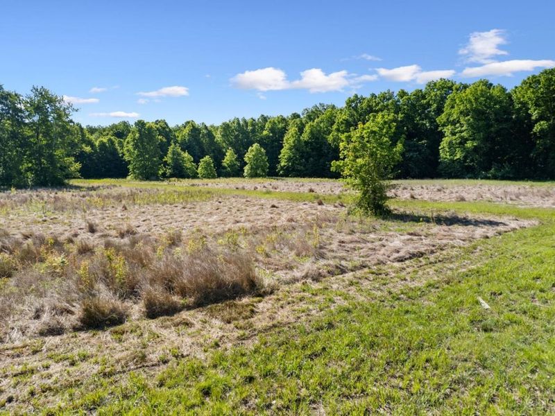 3270 St. Rt. 132, Pierce Twp, OH 45102 Photo 19