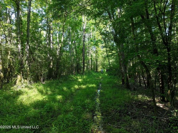 Us-51, Bogue Chitto, MS 39629