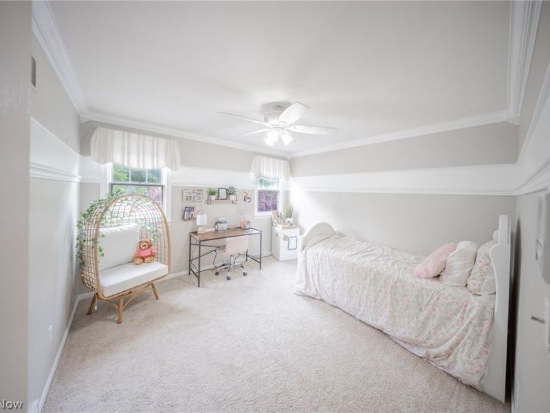 74 Oak Tree , Canfield, OH 44406 Photo 34
