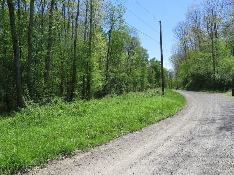 Montero Road NE, Carrollton, OH 44615 Photo 11