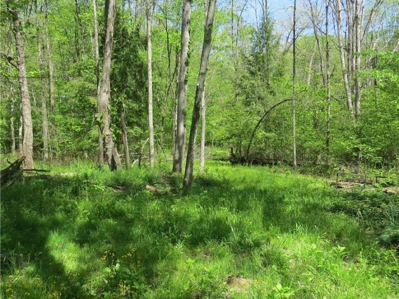 Montero Road NE, Carrollton, OH 44615 Photo 6