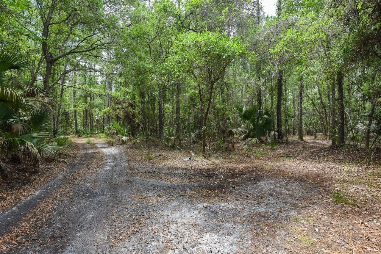 1851 Maytown Road, Oak Hill, FL 32759 Photo