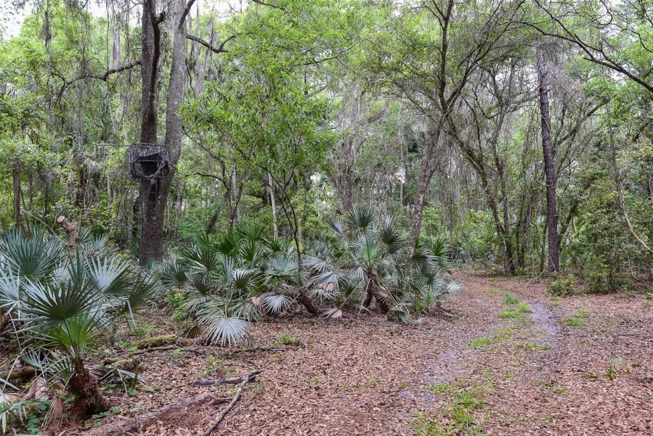 1851 Maytown Road, Oak Hill, FL 32759 Photo