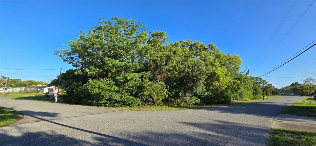 0 Captain Drive , Spring Hill, FL 34608 Photo