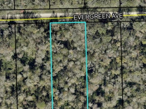 3599 EVERGREEN AVENUE, BUNNELL, FL 32110